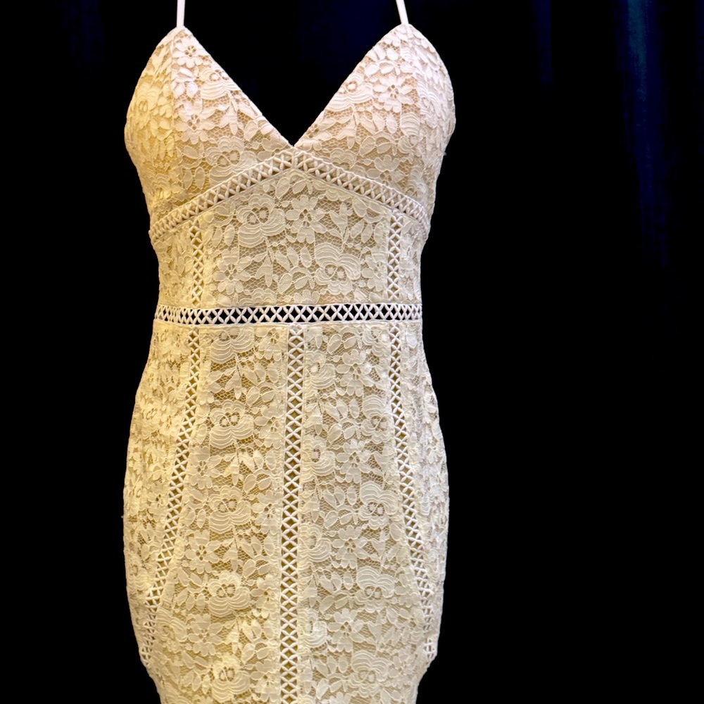 Akira sz LG dress White lace Sheath Dress
